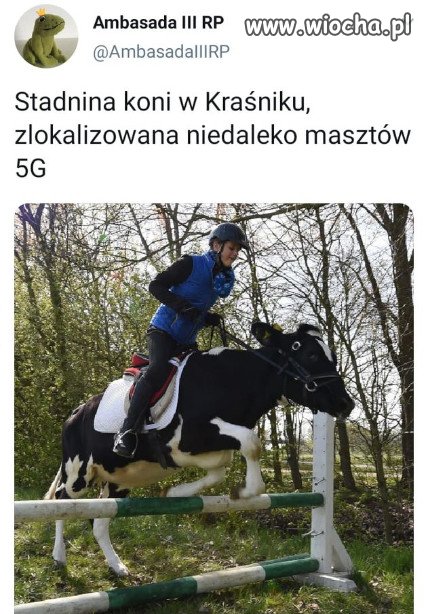 No i się zaczęło! 