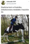 No i się zaczęło! 