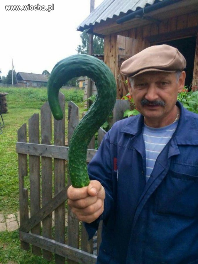 Jakie dotacje takie plony