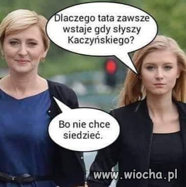 Heheszki