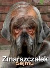 Bez komentarza 