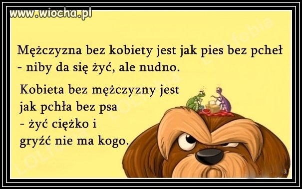 Mężczyzna bez kobiety, pół biedy 