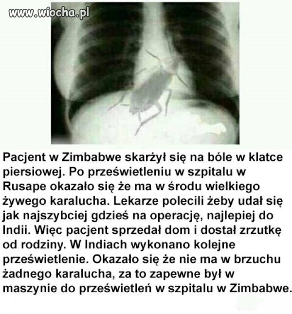 Zimbabwe
