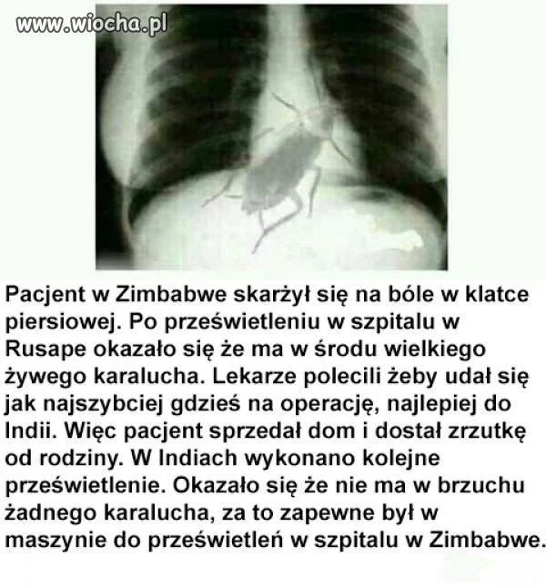 Zimbabwe