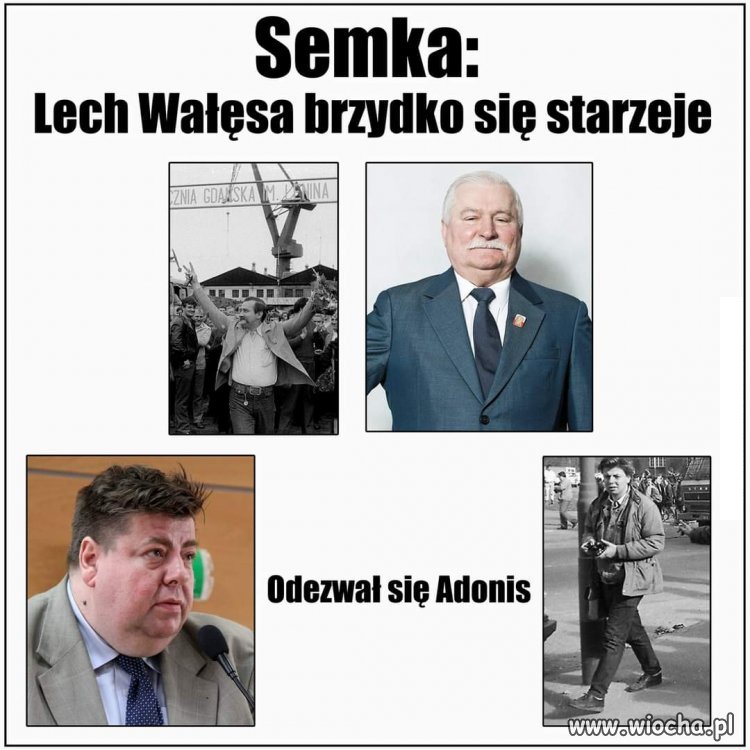 Odezwał się Adonis