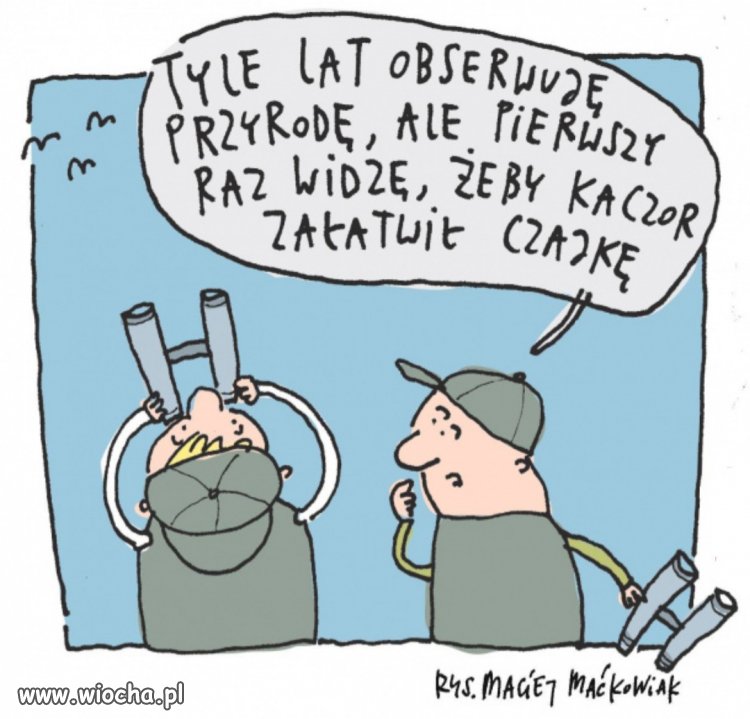 Historia pewnej oczyszczalni