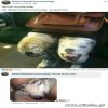 Niektórych trendów mody nie ogarniam 