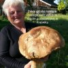 Grzyby w Kraśniku