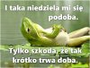 Jak niedziela 