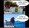 Co ja piłam ? 