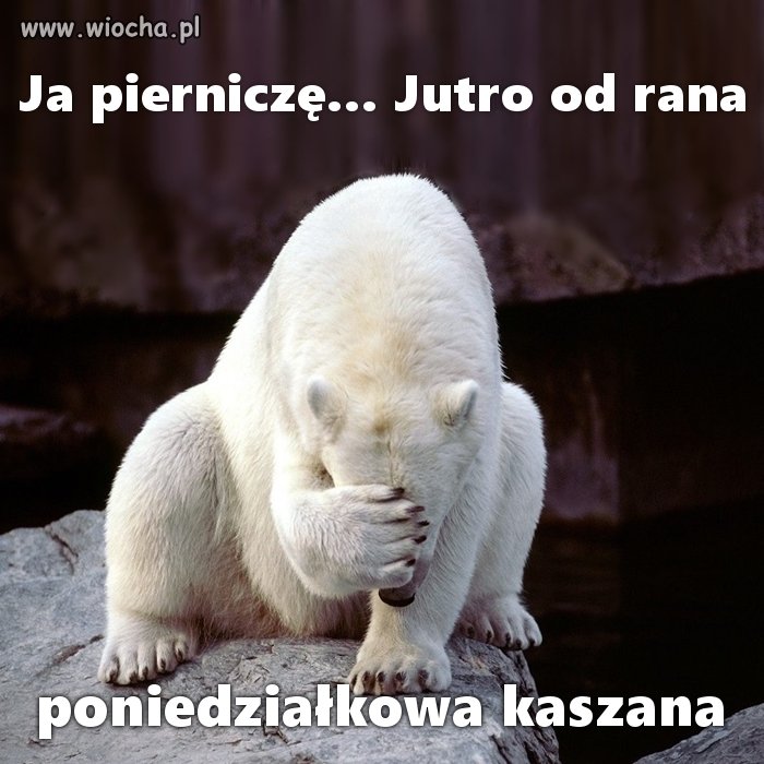 Nie ma, że boli