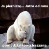 Nie ma, że boli