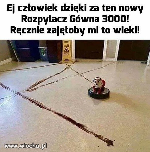 Technologia wspiera naszych pupili 