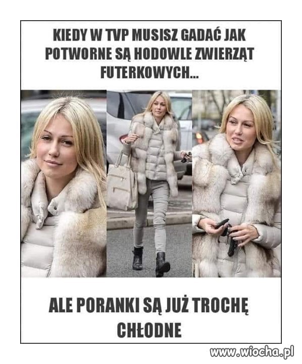 Samozaoranie