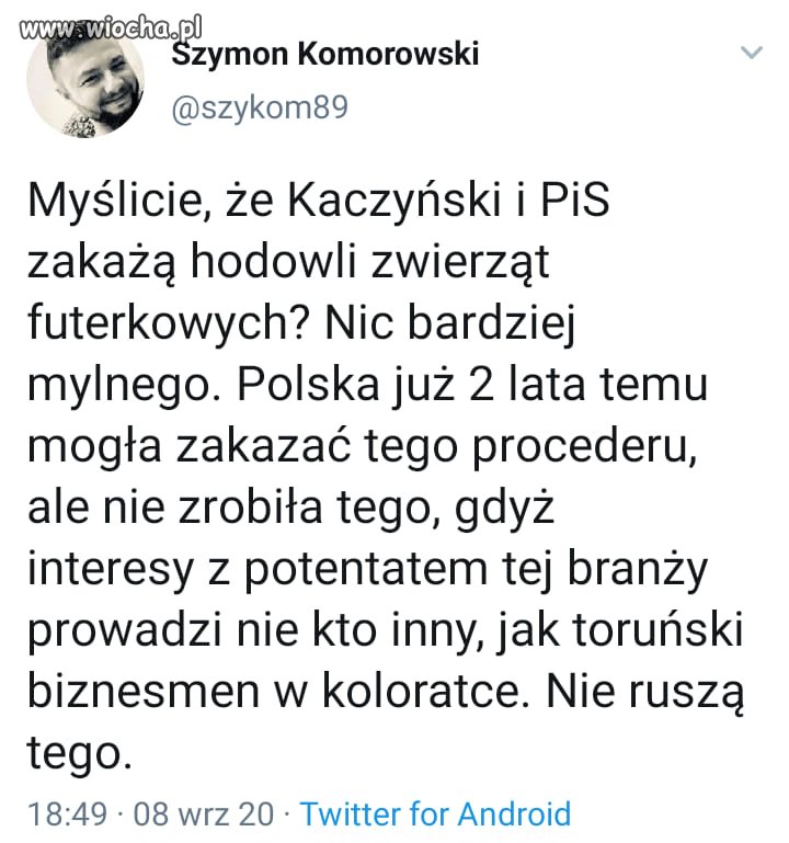 To bardzo prawdopodobne
