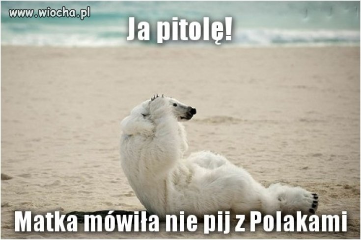 To nie z polakami 