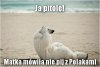 To nie z polakami 