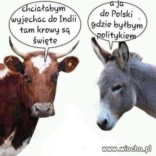 Spór koalicyjny w oborze władzy!