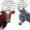 Spór koalicyjny w oborze władzy!