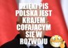 Nic dodać
