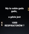 My tu gadu gadu 