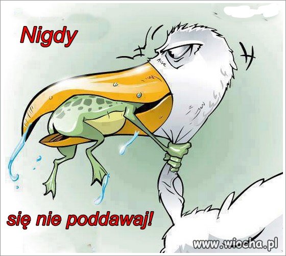 Nie daj się kaczorowi !!!