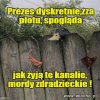 Zgrilowaliście