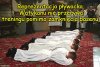 Dla chcącego