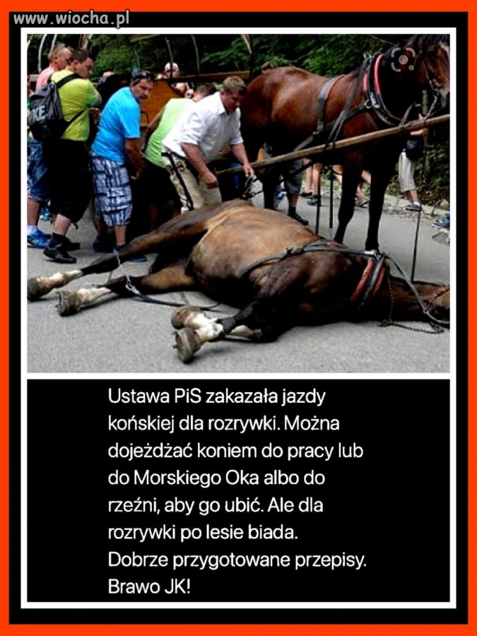 Brawo