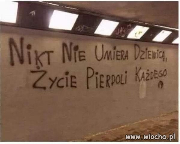 Z cyklu ~złote myśli~   