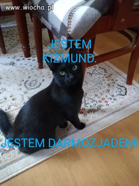KIŹMUND