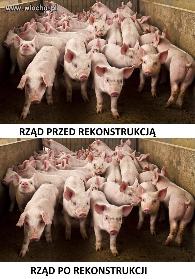 Rekonstrukcja rządu w praktyce