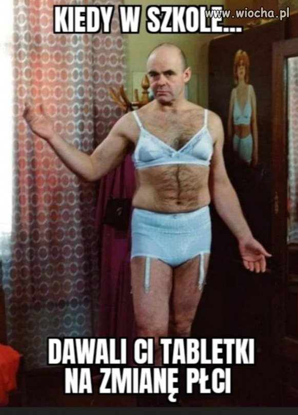 Bareja wiecznie żywy. 
