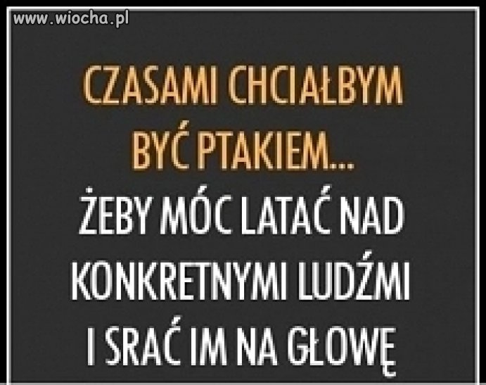 A i tak mam wywalone na nich 