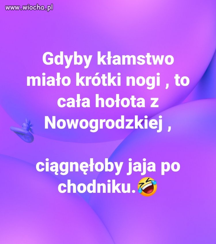 Hołota 