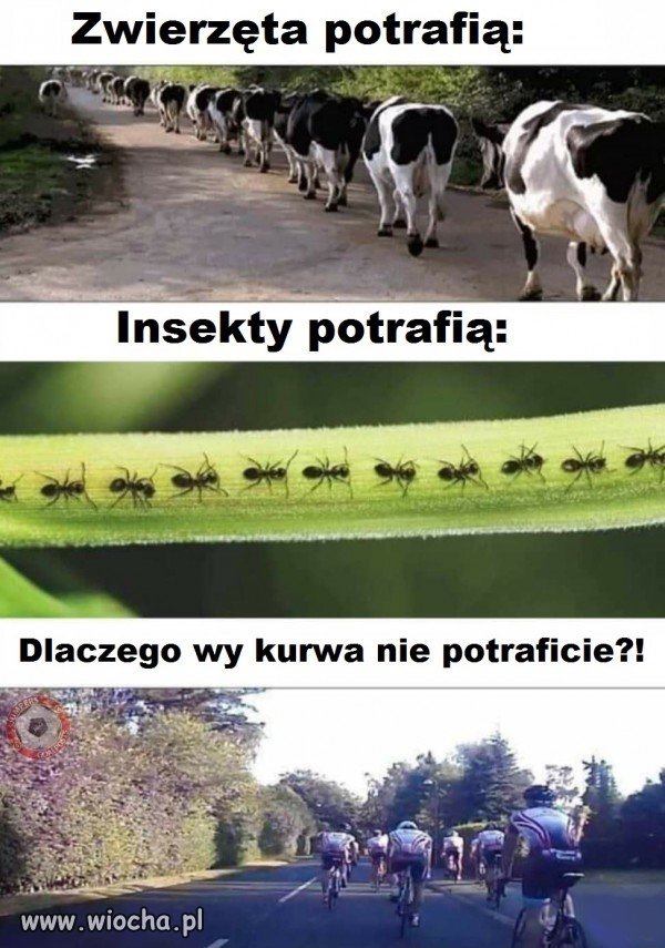 Taka sytuacja   