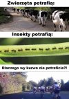 Taka sytuacja   