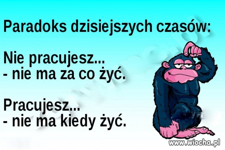 Nie masz kasy, źle