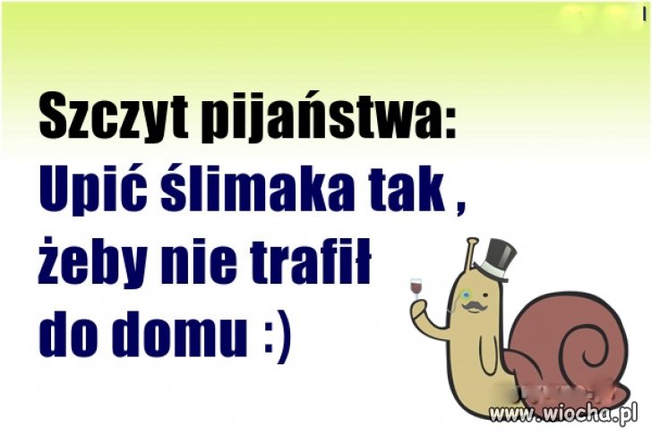 Szczyt pijaństwa. 