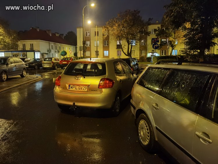 Mistrz parkowania płock 