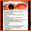 Miał prawo się wkur...