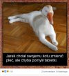 Te tabletki działają cuda !