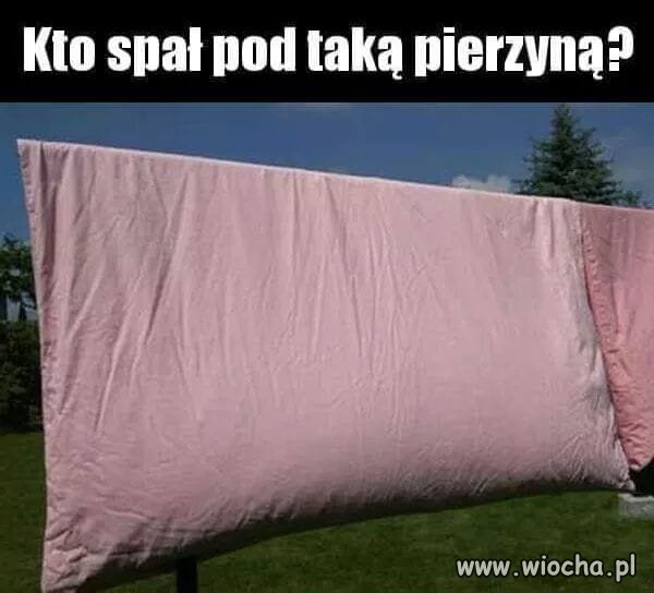 Przedmiot muzealny