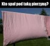 Przedmiot muzealny
