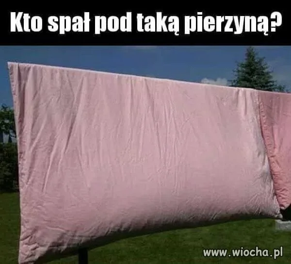Przedmiot muzealny