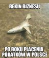 Rekin biznesu   