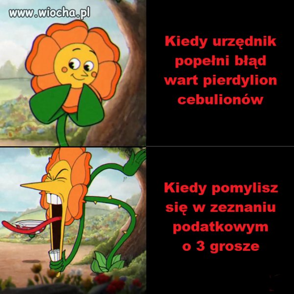 Pomyłka