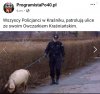 Owczarki pomagaja w szukaniu bimbru...