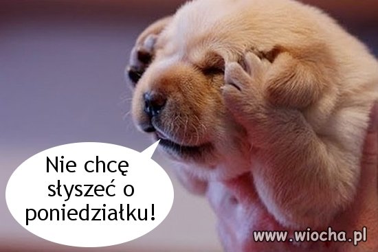 Ilu jest takich ? 