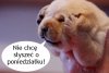 Ilu jest takich ? 